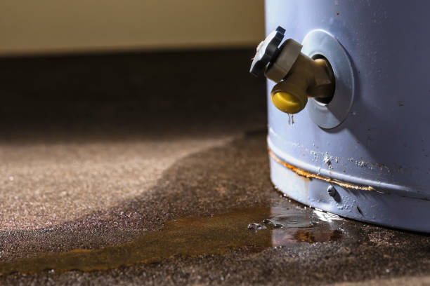 Best Emergency water damage restoration  in Darien, GA