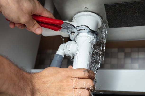 Best Local water damage restoration  in Darien, GA
