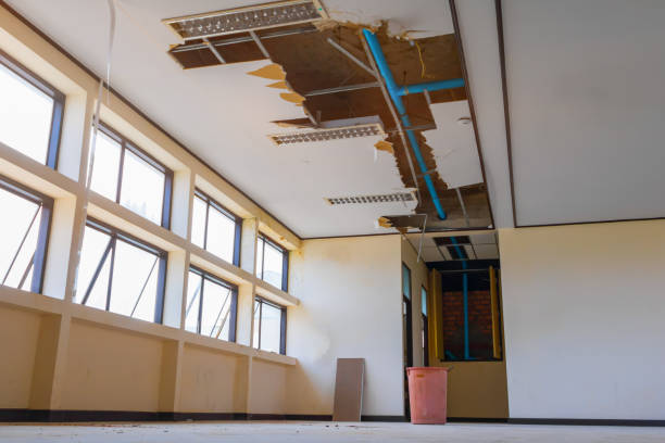 Best 24-hour water damage restoration  in Darien, GA
