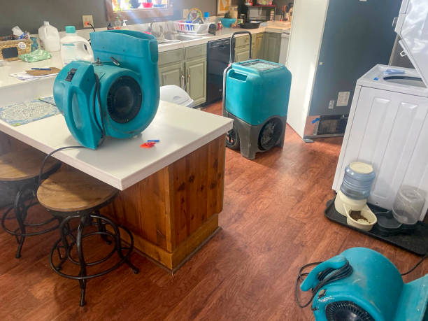 Best Water damage restoration specialists  in Darien, GA
