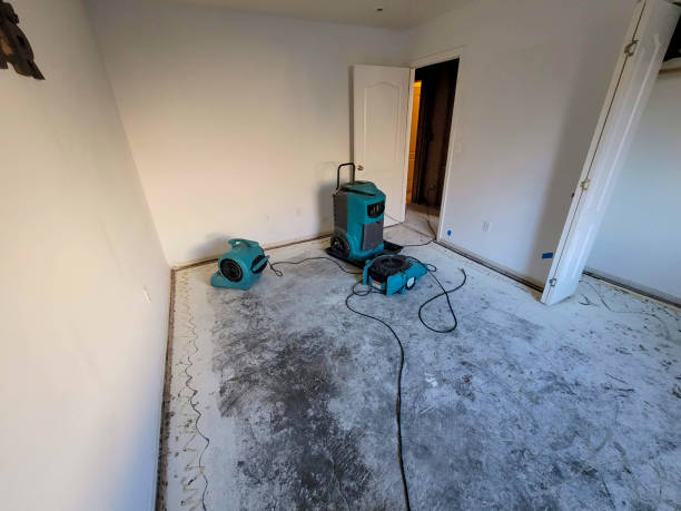  Darien, GA Water damage restoration Pros