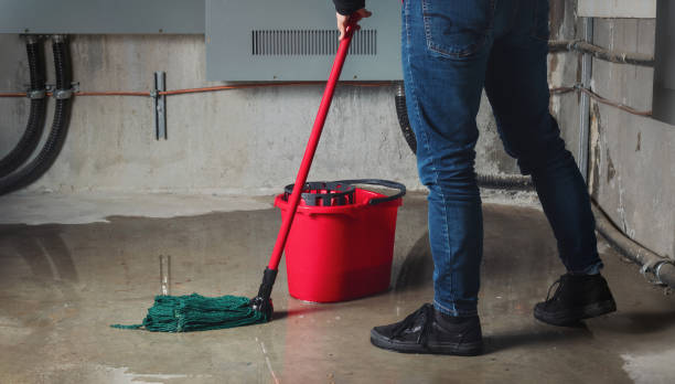 Best Water damage restoration near me  in Darien, GA