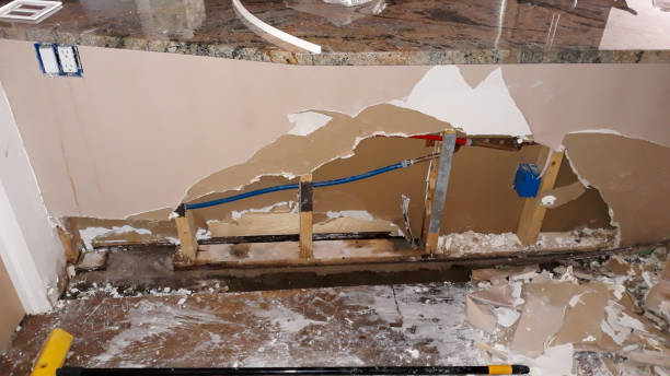 Best 24/7 water damage repair  in Darien, GA