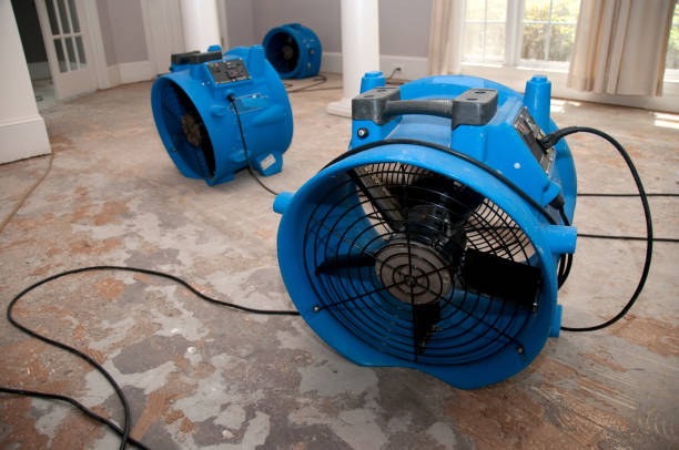 Best Water damage restoration insurance claims  in Darien, GA