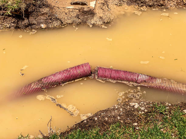 Best Sewage cleanup and water damage restoration  in Darien, GA