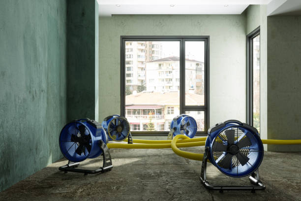 Best Commercial water damage restoration  in Darien, GA